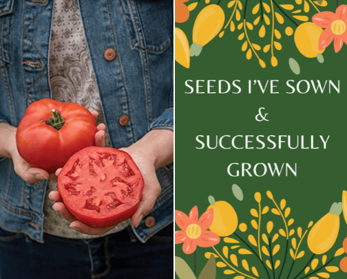 Seeds I've Sown and Successfully Grown cover photo collage