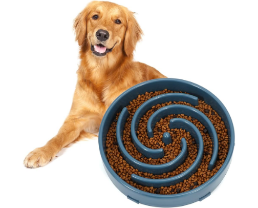 Pup-Approved Picks – My Favorite Finds for Dogs & Their Humans cover photo collage