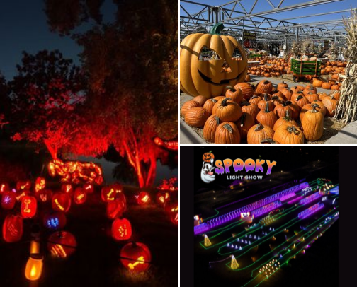 Halloween with kids in Denver! cover photo collage