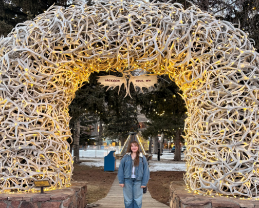 ⋆˚꩜｡ A Tourist's Guide to Jackson, Wyoming ⋆˚꩜｡ cover photo collage