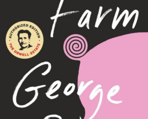 My favorite book recs cover photo collage