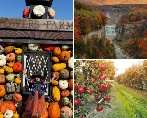 Fall Things to Do in Rochester + Finger Lakes | Trails, Farms & Markets cover photo collage