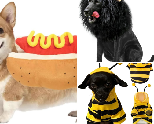 Furfect haloween costumes for your furbabies cover photo collage