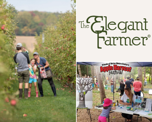 🍂 Fall Fixations 🍂 cover photo collage