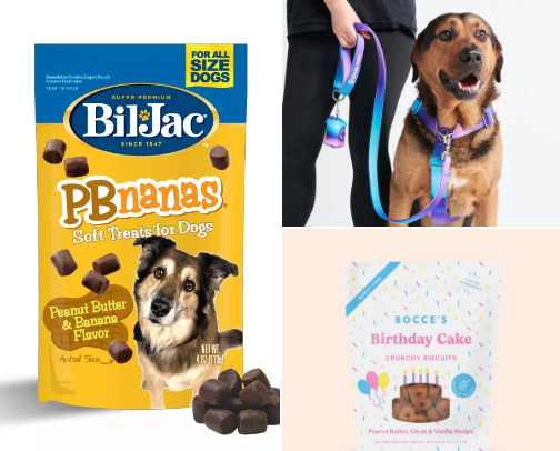 Best dog approved items for your favorite furry friend 🦴 cover photo collage