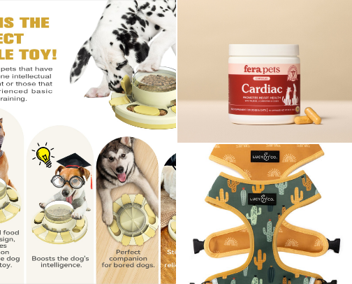 Things your Dog Needs cover photo collage