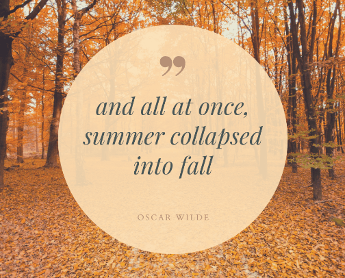 I LOVE fall!! cover photo collage
