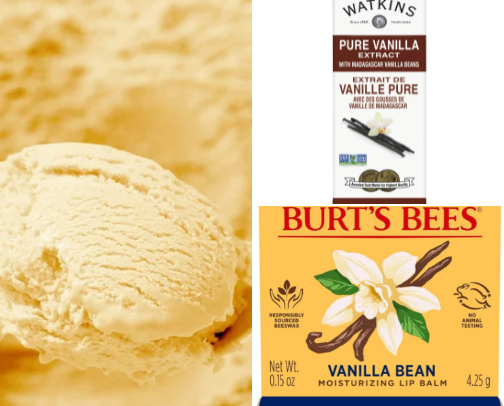 Vanilla Lovers Gather Here cover photo collage