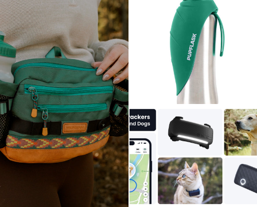 Adventure Essentials for Dogs cover photo collage