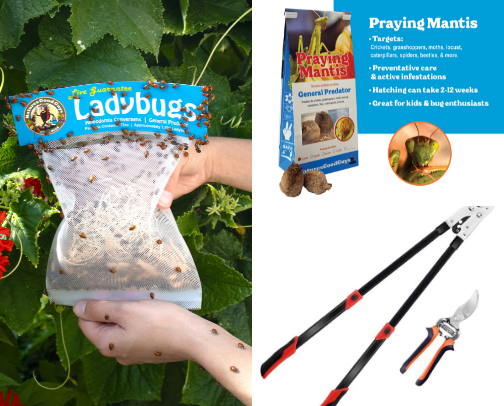 Garden must haves cover photo collage