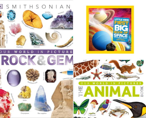 Book recommendations from a family who is obsessed with reading! 📚 cover photo collage