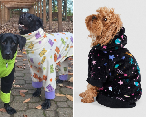 Dog supplies that survived my giant dog! cover photo collage