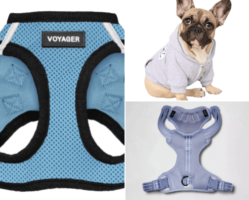 Dog's wish list cover photo collage
