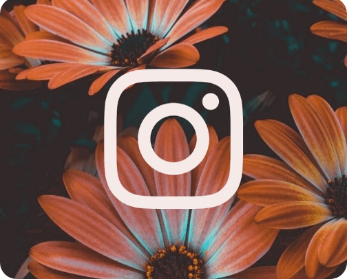 Instagram favorite cover photo collage