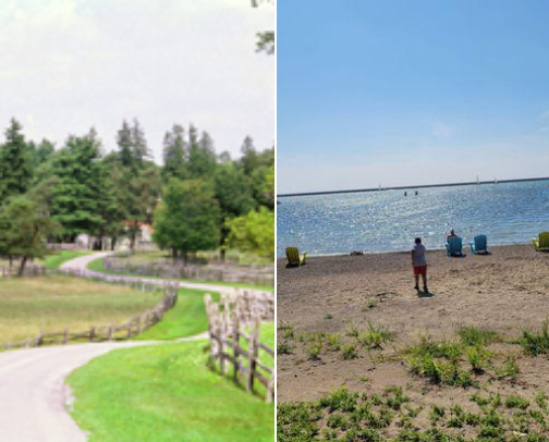 My top local recs cover photo collage