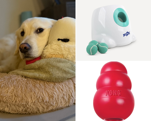 Howie’s Favorite Dog Toys cover photo collage