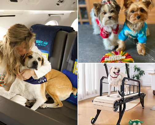 Super Spoiled Fur Baby Wish List cover photo collage
