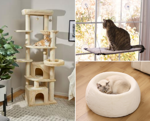 Spoiled Rotten: Everything Your Cat Doesn't Need but Definitely Wants cover photo collage