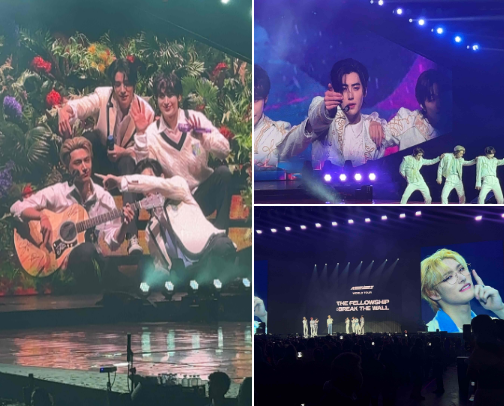 A guide to your first Kpop concert cover photo collage