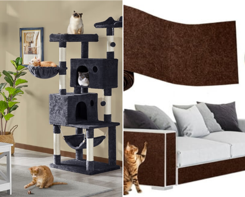 🐾 My Cat Essentials (Cozy, Clean & Happy Life) cover photo collage