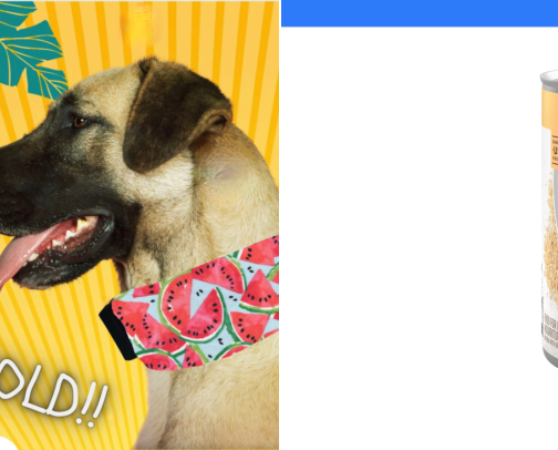 Perros/gatos cover photo collage