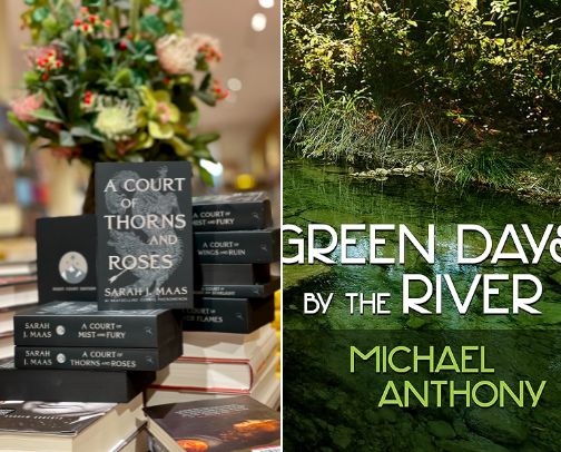 My favorite book recs cover photo collage