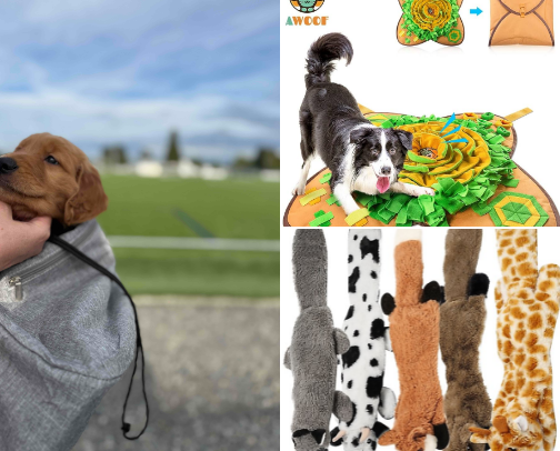 New Puppy Must-Haves cover photo collage