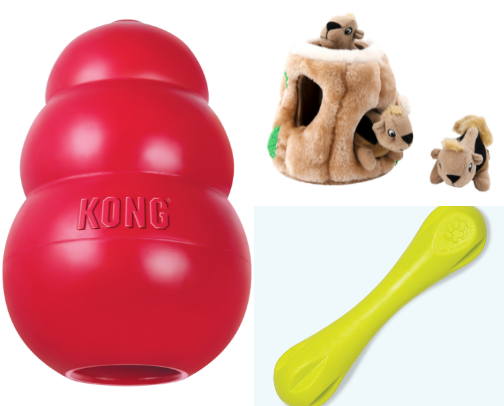 Spoiled Rotten: The Pet Products My Furbaby Actually Loves cover photo collage