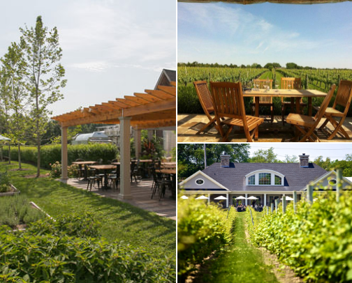Wine with a View: Best Long Island Vineyards to Explore cover photo collage