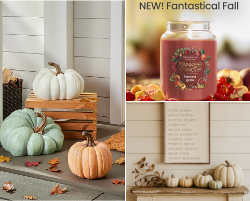 Fall things 🍁🍂 cover photo collage