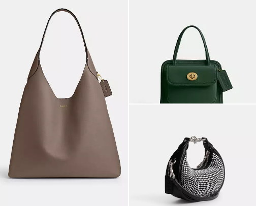 Choach bags 🤌🤎 cover photo collage