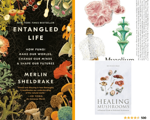 All about fungi | Staring your journey into the world of Fungi cover photo collage