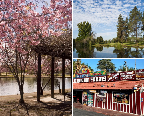 My top Los Angeles recs cover photo collage