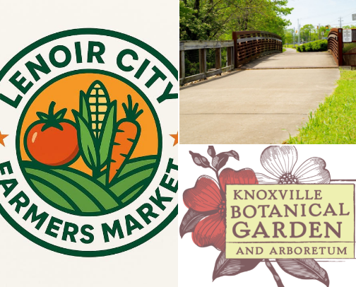 Things to do in the Knoxville area! cover photo collage