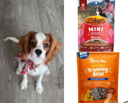 Puppy Essentials cover photo collage