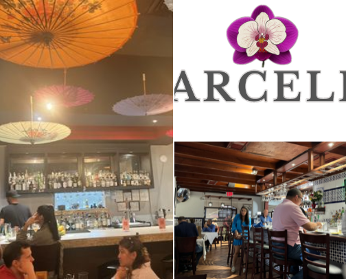 My top local recs cover photo collage