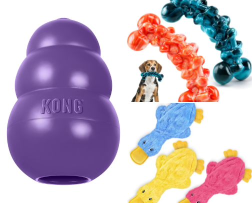 Things your Dog Needs!! cover photo collage
