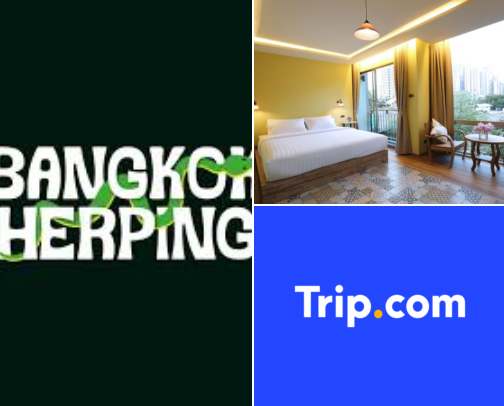 Lovely hotels in Sukhumvit, Bangkok, Thailand cover photo collage