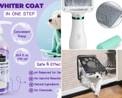 Pawfect Care: Love in Every Detail cover photo collage