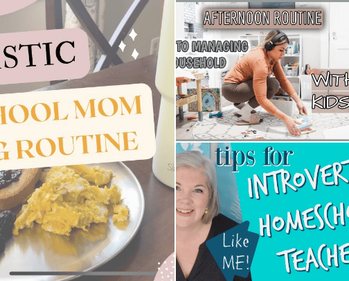 DITL SAHM/Homeschool Mom Videos cover photo collage