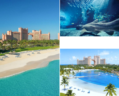 🌴 Best Vacation Ever – Atlantis, BahamasMy new list cover photo collage