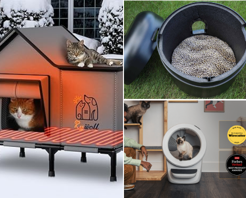 Kitty kat 😻 cover photo collage