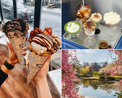 ✨ The Ultimate Providence Insider Guide: Aesthetics, Eats & Hidden Gems cover photo collage