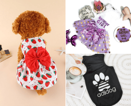 Clothes for dogs cover photo collage