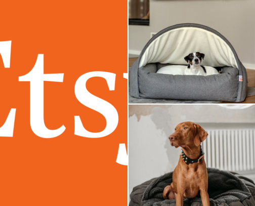 Cozy Pet Beds My Dog Actually Naps In After Halloween Chaos cover photo collage