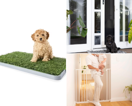 Cavoodle Goodies That Have Helped With Our New Puppy cover photo collage