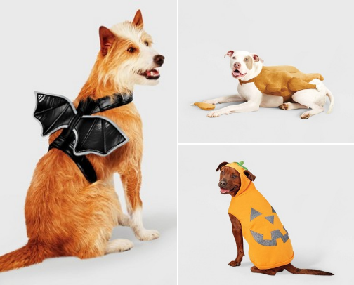 Halloween Customes cover photo collage