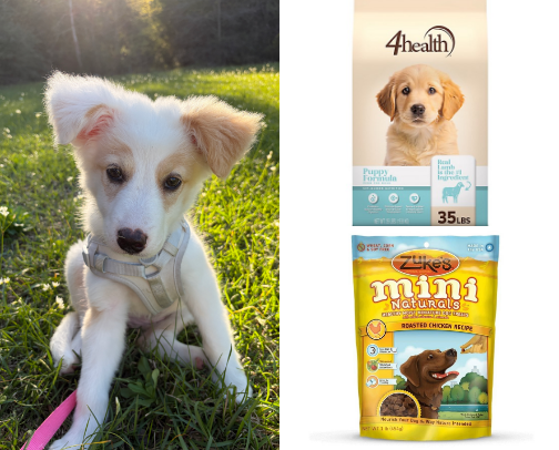 Doggy essentials cover photo collage