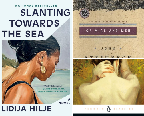 2026 Mid Year Reading Recap: Must Read Books cover photo collage