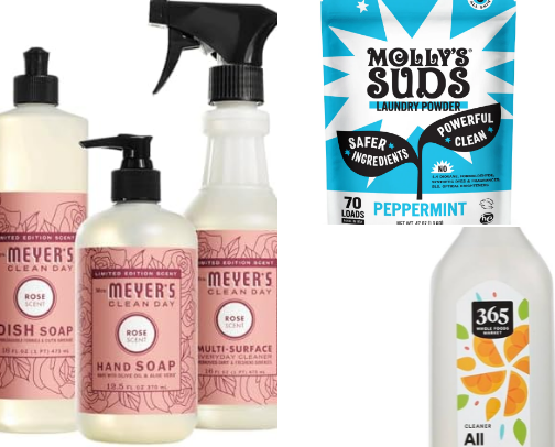 non toxic household faves cover photo collage